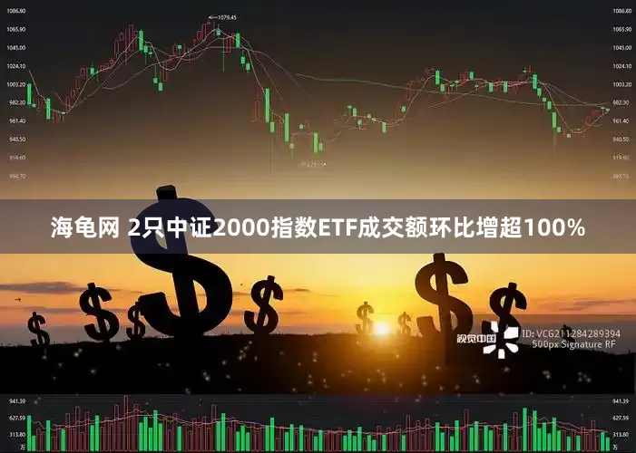 海龟网 2只中证2000指数ETF成交额环比增超100%